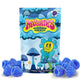 Mushies Blue Raspberry Mushroom Gummies front packaging intense formula vegan lab-tested USA-made.