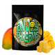 Enjoy Shrooms Bulk Mango Mushroom Gummies, a 50-count bag featuring juicy tropical mango flavor and unbeatable bulk value.