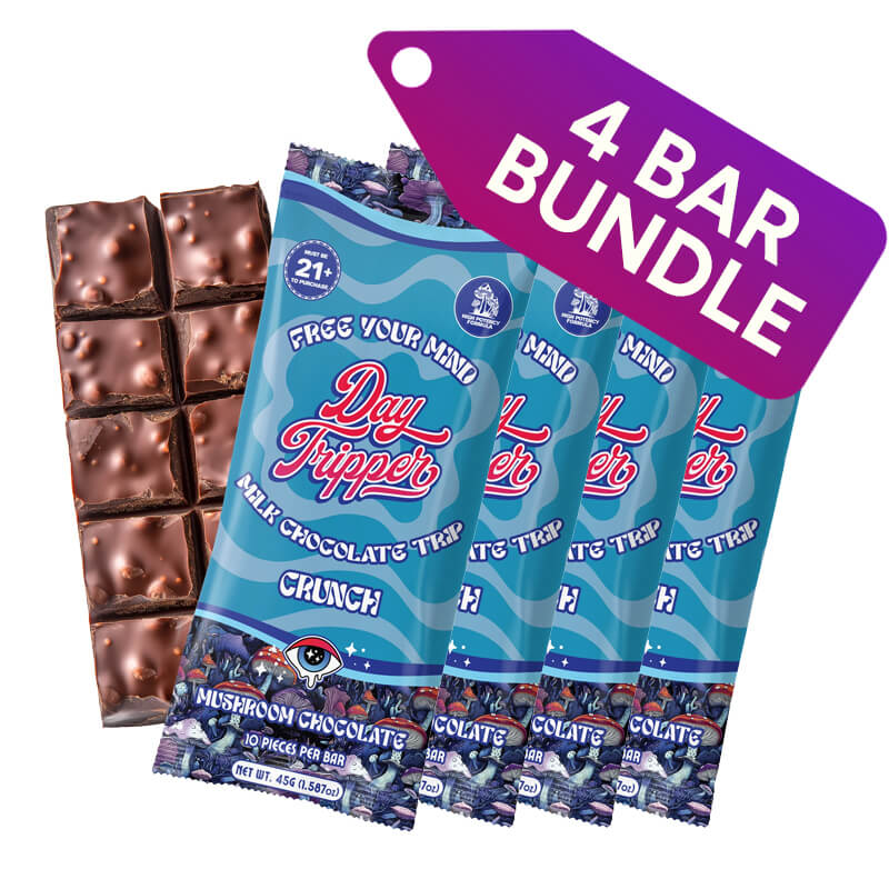 4 Pack Bundle Day Tripper mushroom milk chocolate bar, value size.
