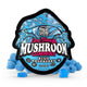 TRĒ House Blue Raspberry mushroom gummies, extra-strength 10 count bag, highlighting upgraded formula and bold blue raspberry flavor.