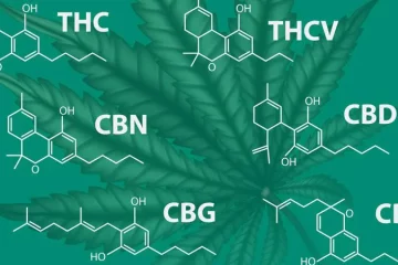 Cannabinoids CBN CBG.jpeg %sepshadesofgreen