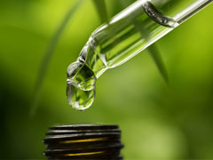 how is cbd oil made