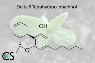 delta 8 thc molecule CckrI0 %sepshadesofgreen
