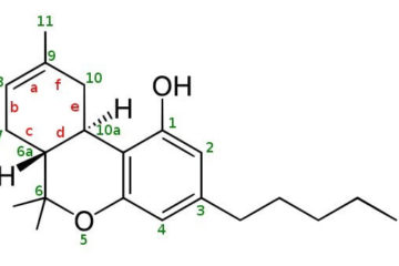 hexahydrocannabinol for sale