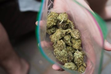 new york illegal cannabis business