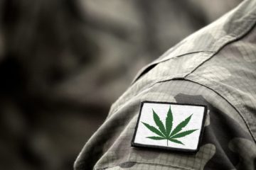 ukraine-war-european-cannabis