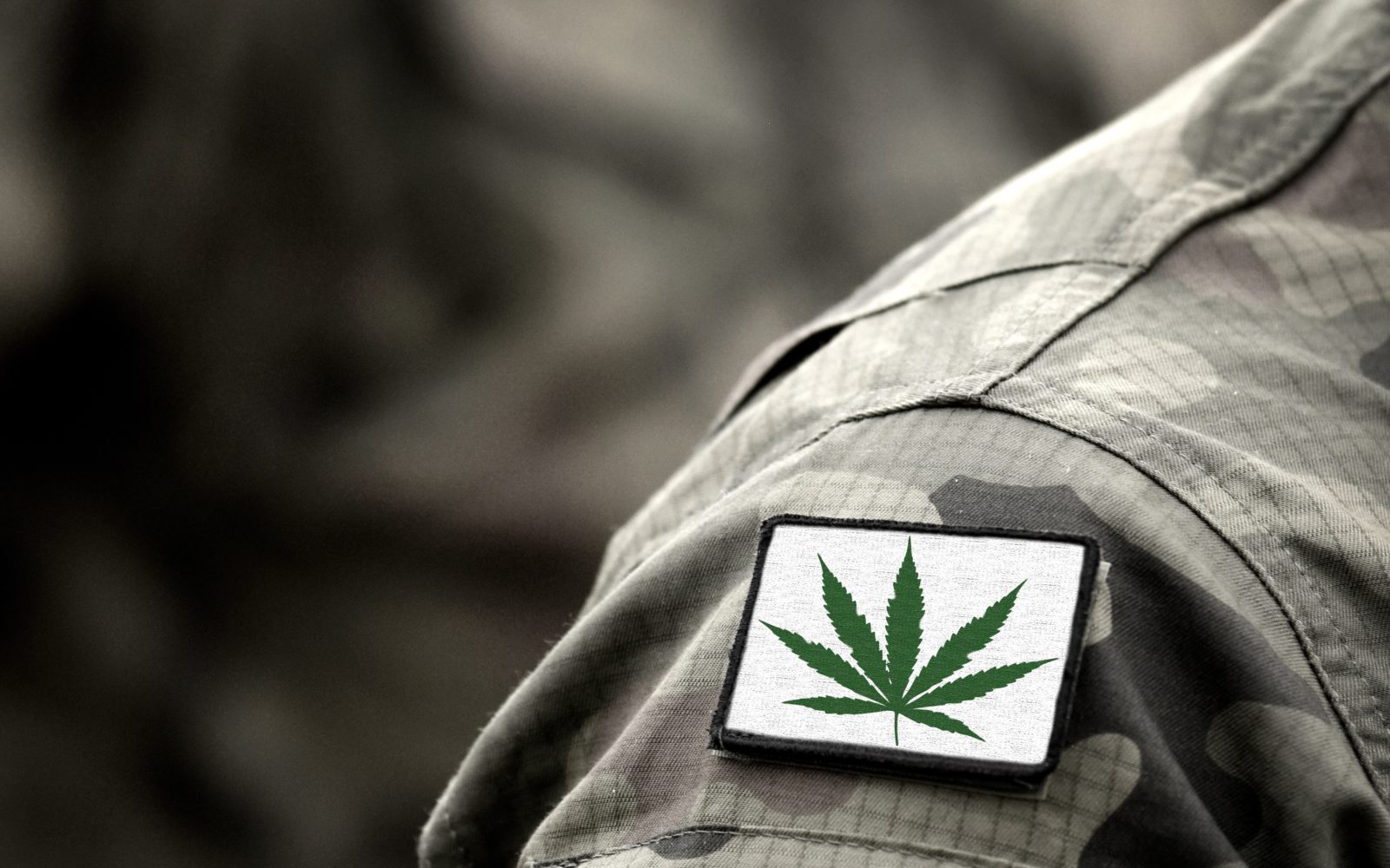 ukraine-war-european-cannabis