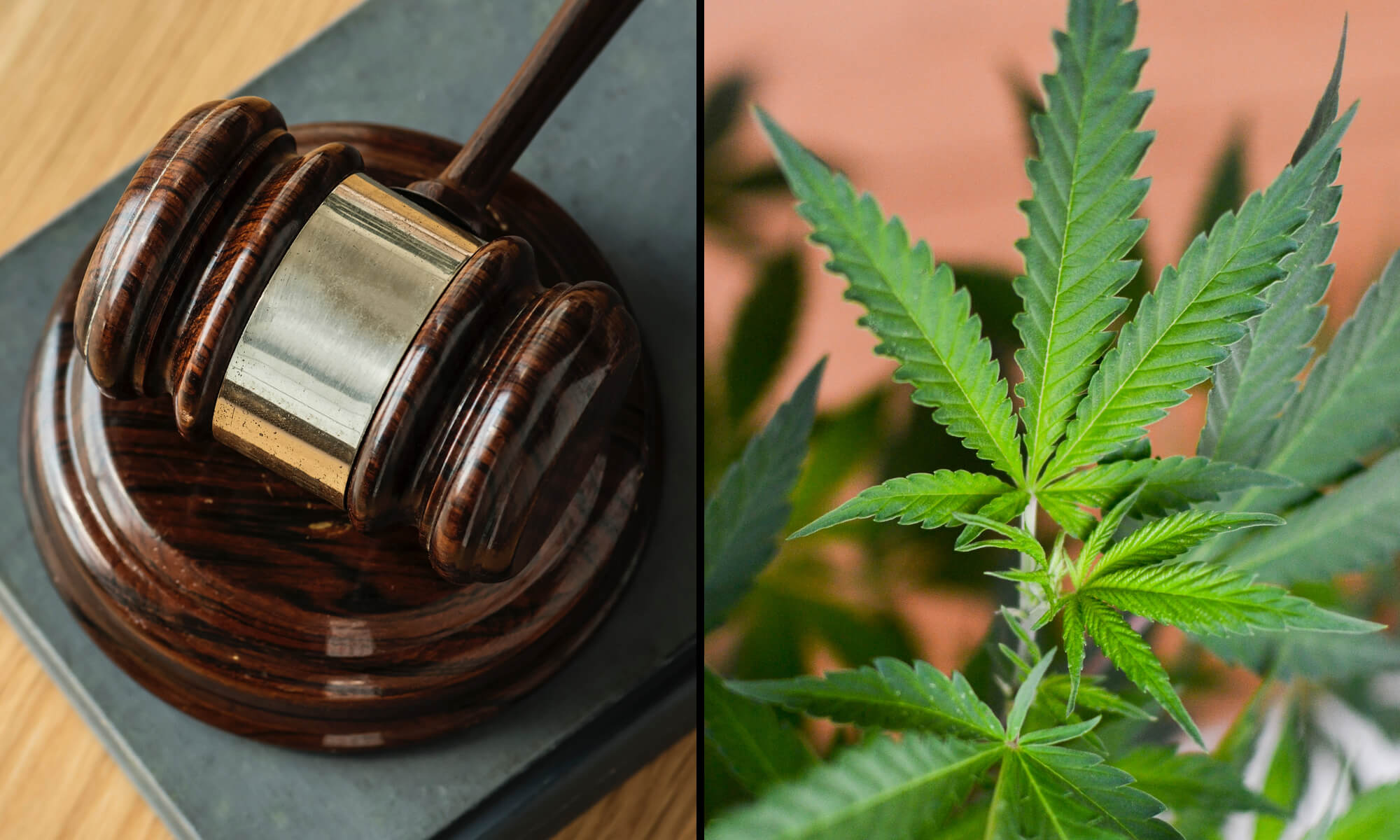 Texas Supreme Court Hears Case Challenging State’s Smokable Hemp Manufacturing Ban 1 texas hemp news