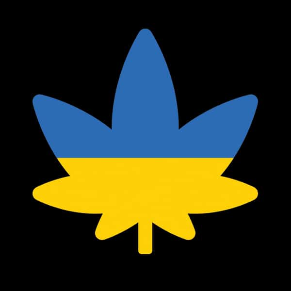 Ukrainian Cannabis Community Standing Strong Against Russian Invasion 1 ukraine-cannabis-flag