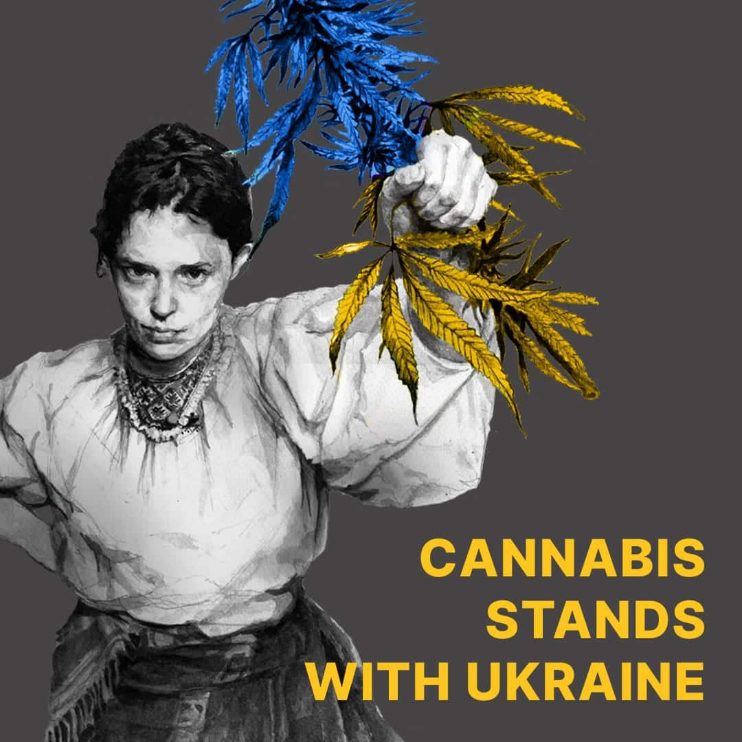 ukraine russia war cannabis %sepshadesofgreen
