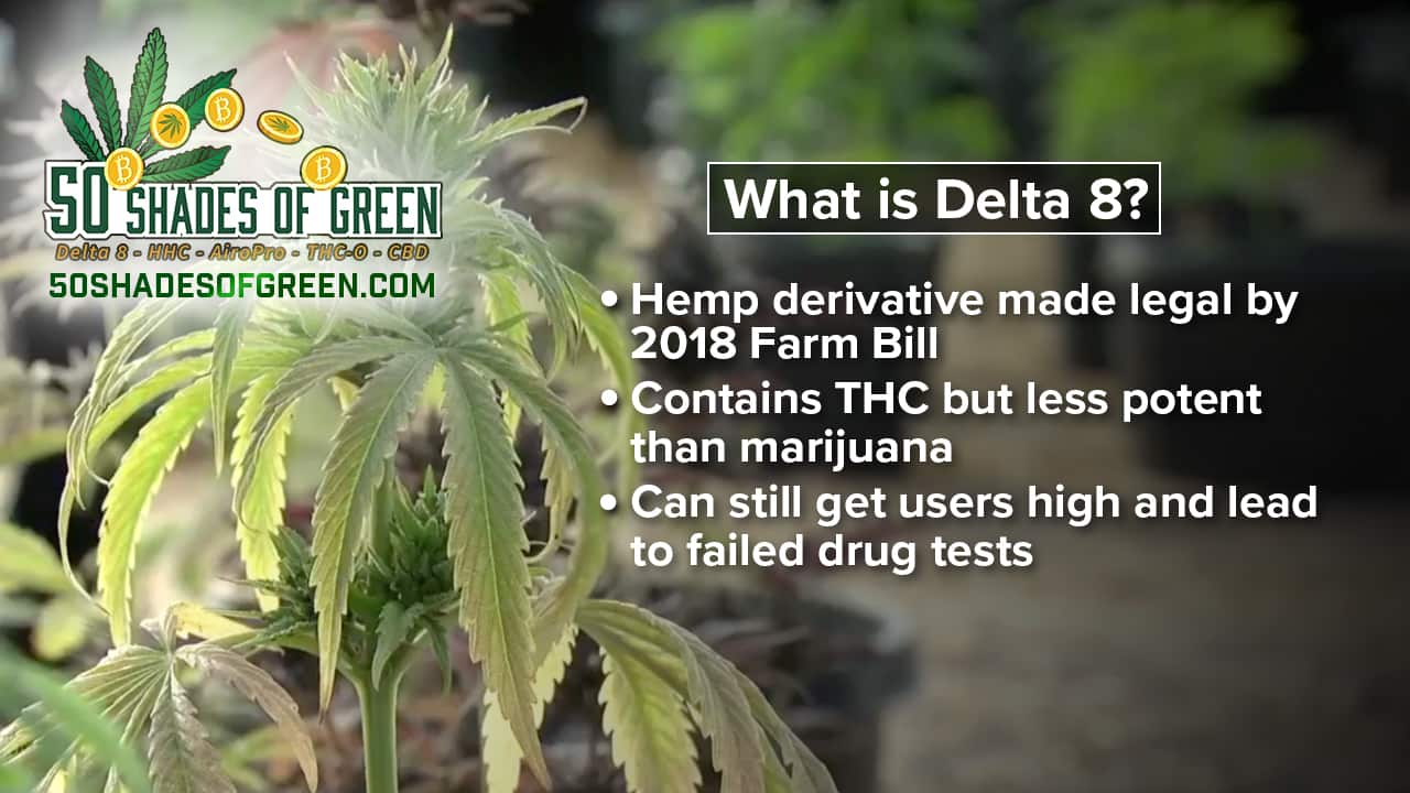 What Does Federal Appeals Court Ruling Mean for Delta-8 THC? 1 delta-8 THC ruled federally legal