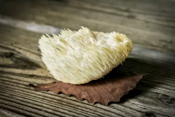 benefits-of-lions-mane-mushroom on 50 Shades of Green