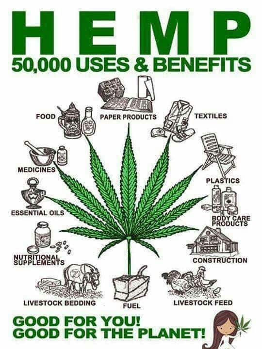 hemp benefits and uses in 2022