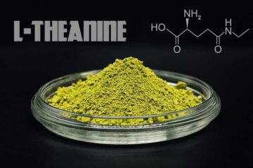 L-Theanine-effects