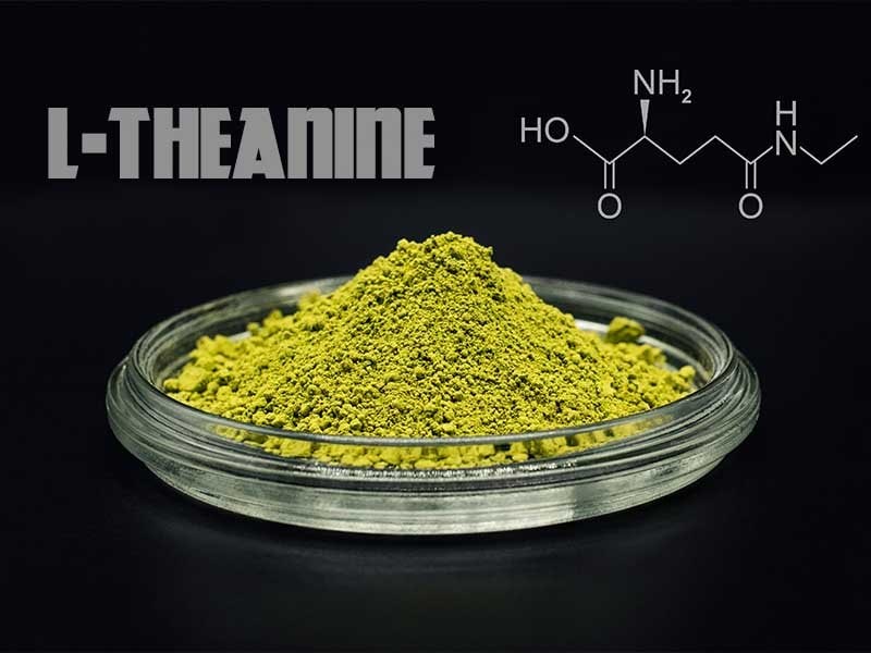 Benefits of L-Theanine 1 L-Theanine-effects
