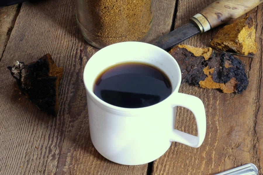 chaga mushroom tea recipe