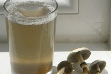 mushroom tea recipe