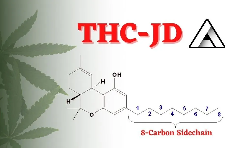 thcjd effects