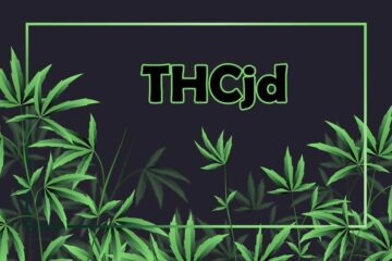 thcjd effects