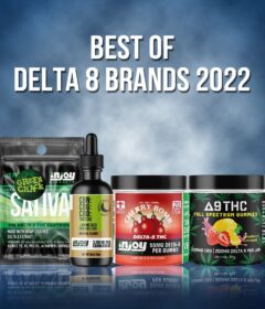 best delta 8 brands 2022 on 50 shades of green legal CBD omaha ne