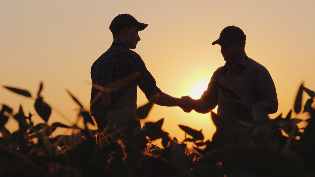 2023-hemp-farm-bill-farmers-needs-50shadesofgreen