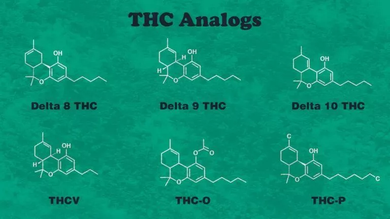 thc-p delta 8 effects