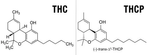 what is thcp and how potent is it compared to delta 8