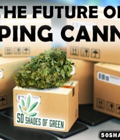 cannabis shipping legality SHIP ACT by Jared Huffman protects small growers