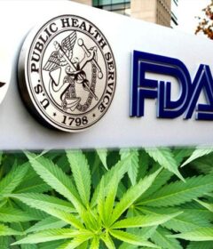 FDA warns CBD companies 50 Shades of Green dispensary