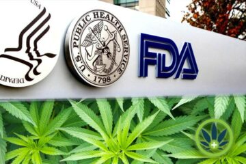 FDA warns CBD companies 50 Shades of Green dispensary