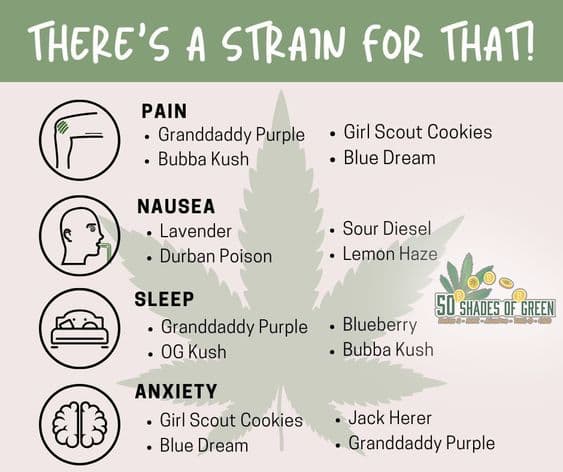 popular weed strains for 2023 on 50 shades of green legal cbd news NE