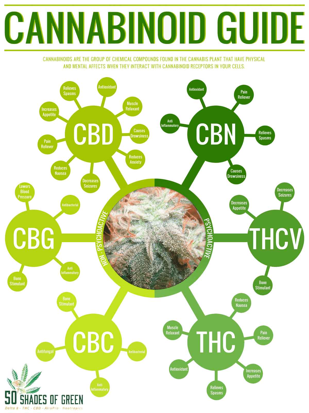 cbd-vs-thc-cbc-cbg-cbn differences on 50 shades of green legal dispensary Lincoln  