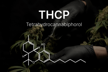 what is thcp and how potent is it compared to delta 8