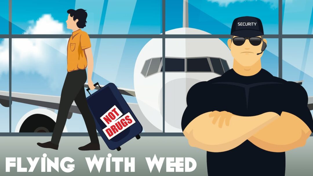 Can you fly with a weed pen in 2023? Tips! 50 Shades of Green