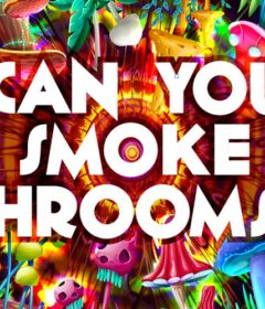 can you smoke shrooms