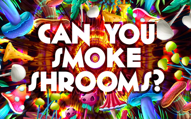 Can You Smoke Shrooms? 1 can you smoke shrooms