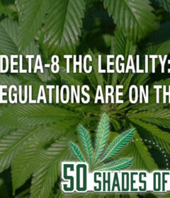 how is delta 8 thc legal