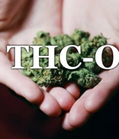 THCO illegal says DEA as it's not hemp on 50 Shades of Green