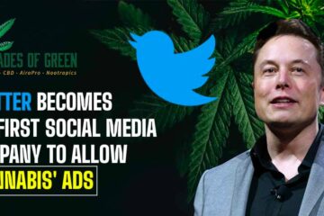 Twitter Cannabis Advertising gets approved on 50 shades of green legal cbd