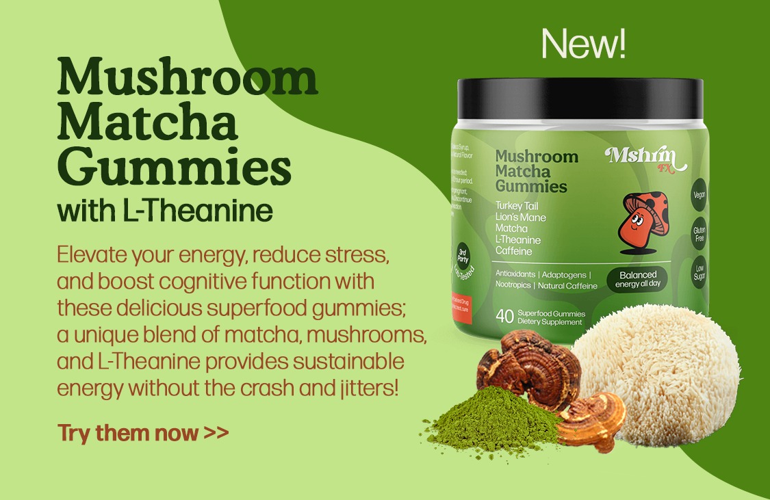 mushroom gummies for energy pain immune system matcha gummies by Mushroom FX