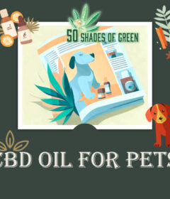cbd oil for dogs goodcbd 50shadesofgreen coupons