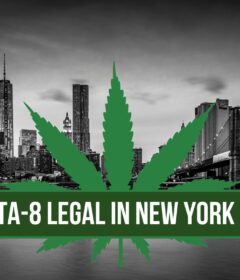 is delta-8 legal in new york 2023 on 50 shades of green