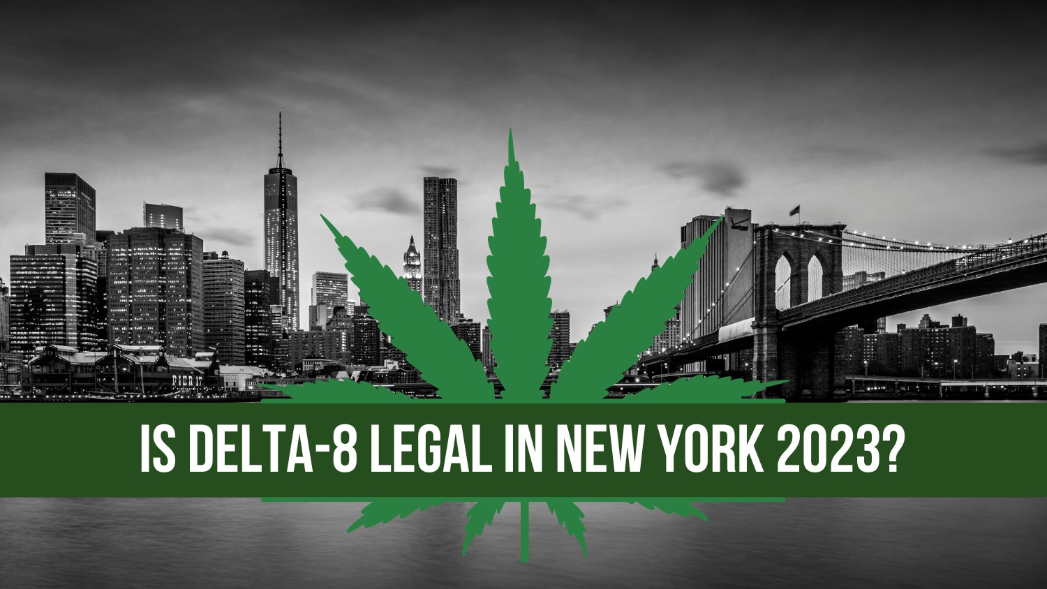 Is Delta-8 Legal in New York 2023? Closing the Loophole. 1 is delta-8 legal in new york 2023 on 50 shades of green
