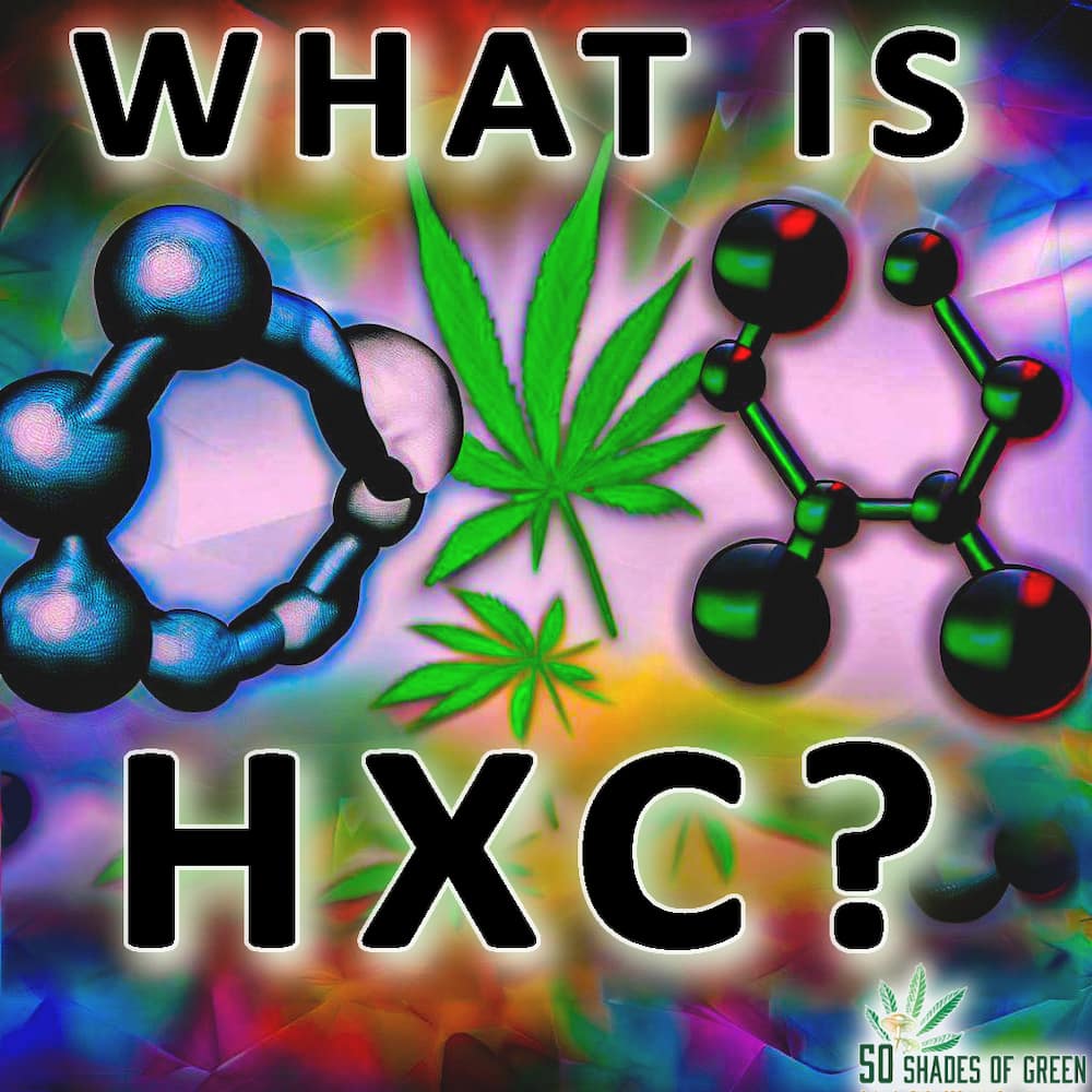 What Is HXC - THC Alternative to Delta 8 Vapes 1 what is hxc meaning and vapes on 50 shades of green coupons for thc gummies online