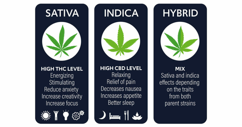a picture of the 3 terpene options, hybrid, indica, and sativa