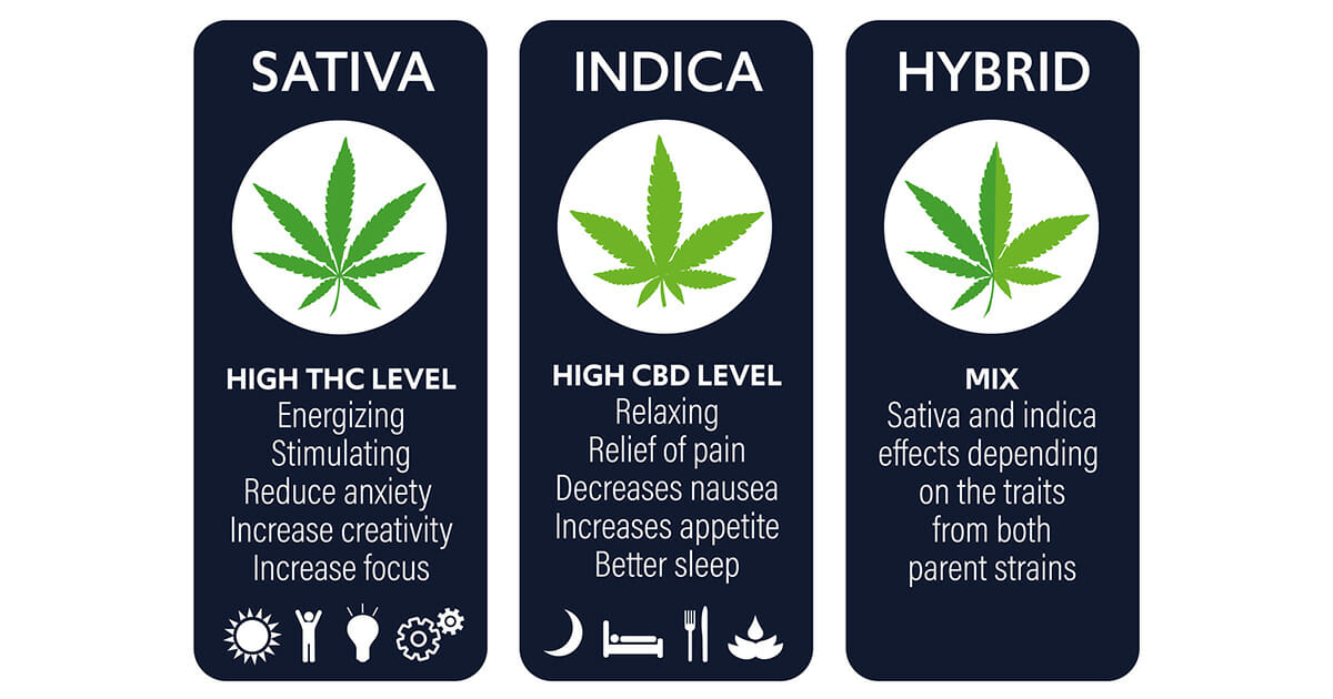 a picture of the 3 live resin options, hybrid, indica, and sativa