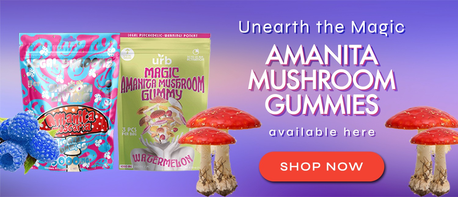  aminita mushroom gummies