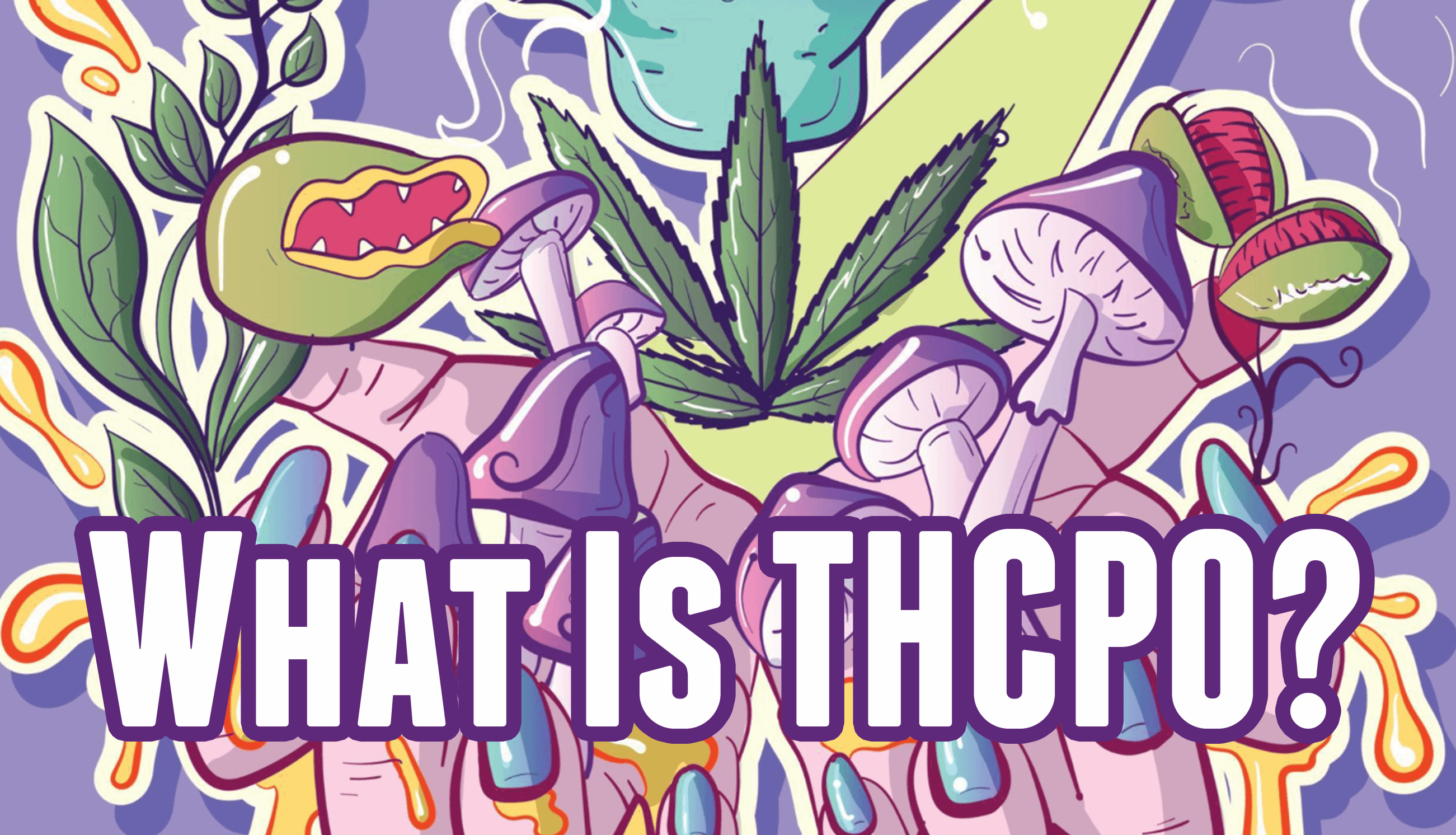 What Is THCPO 1 What is THCPO? read this article to find out