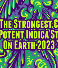 an article abut the strongest indica strains on earth