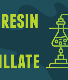 Live-Resin-VS-Distillate